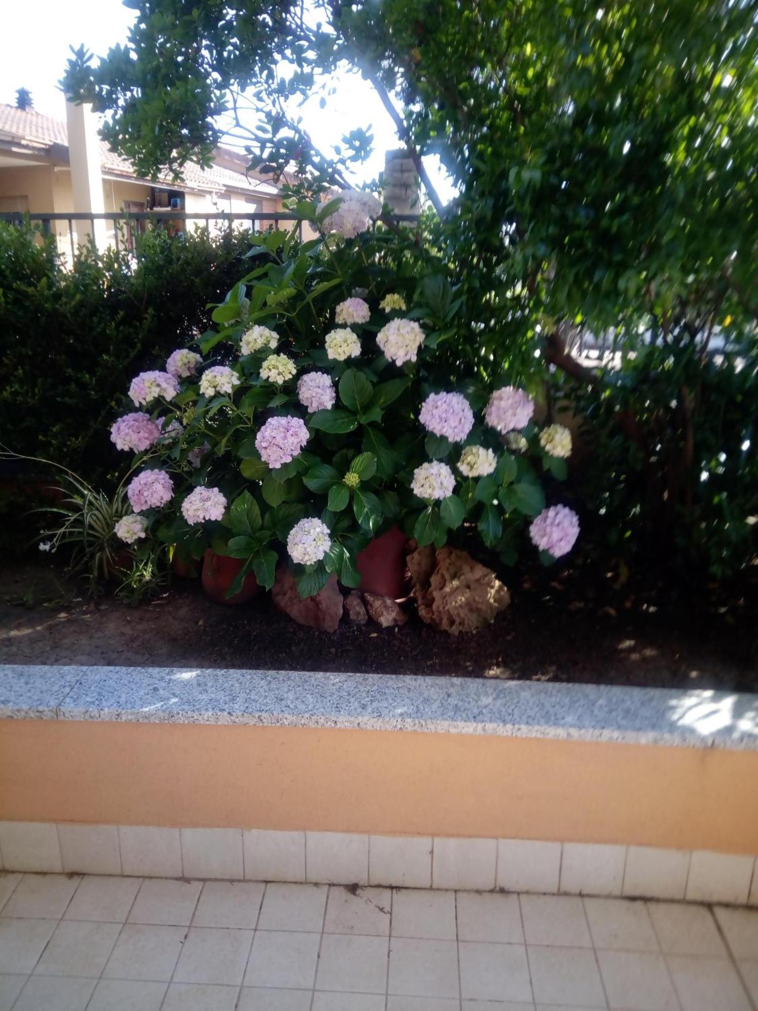 Casa Al Mare Con Giardino Villa Alghero Esterno foto